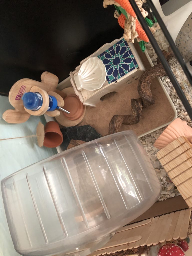 sandbath for hamsters