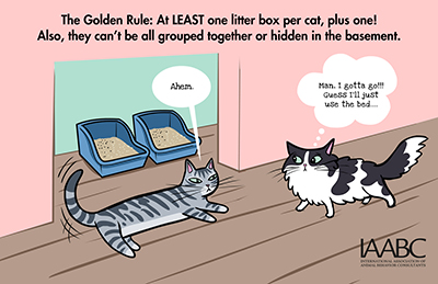 Litter Boxes for cats