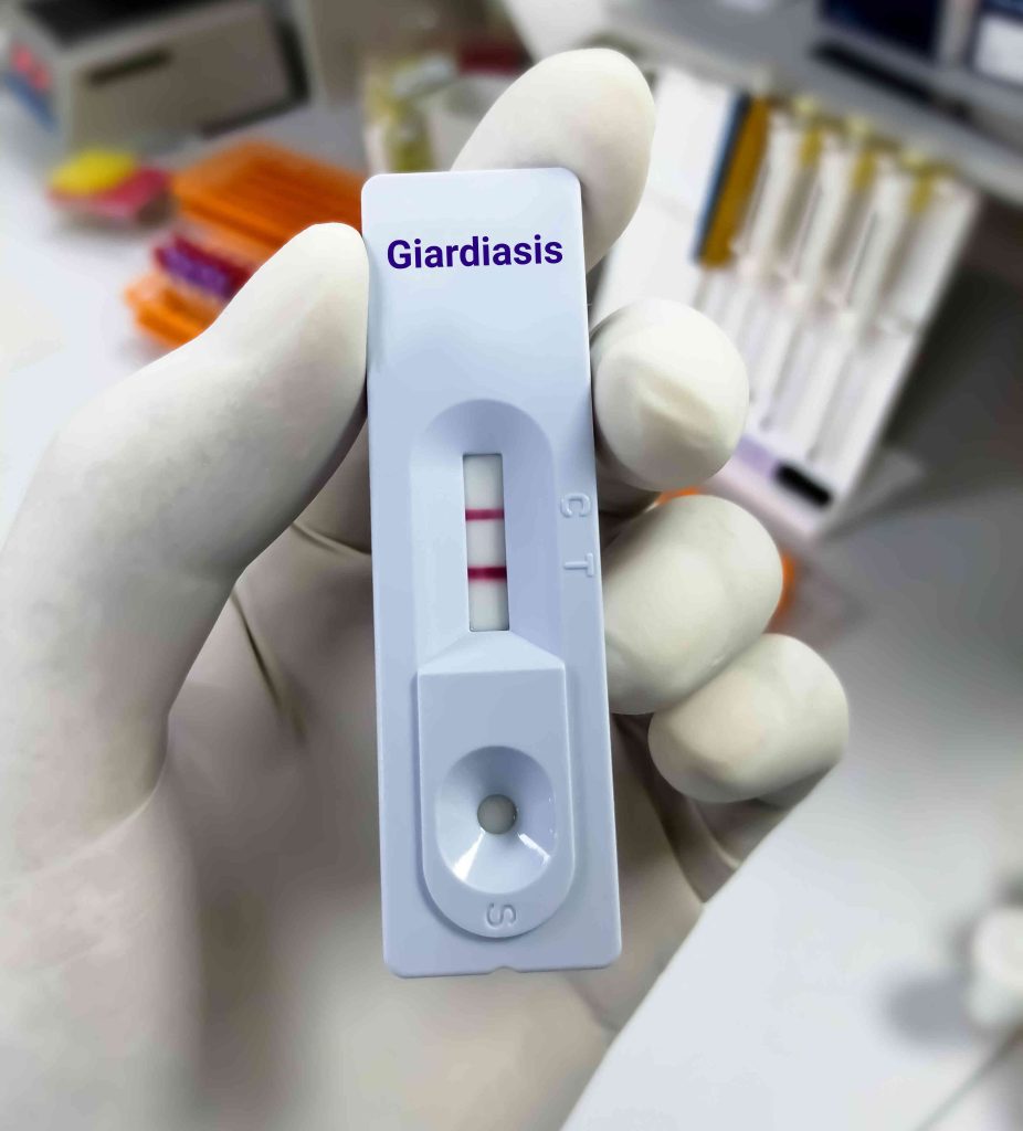 Positive rapid test for Giardiasis 